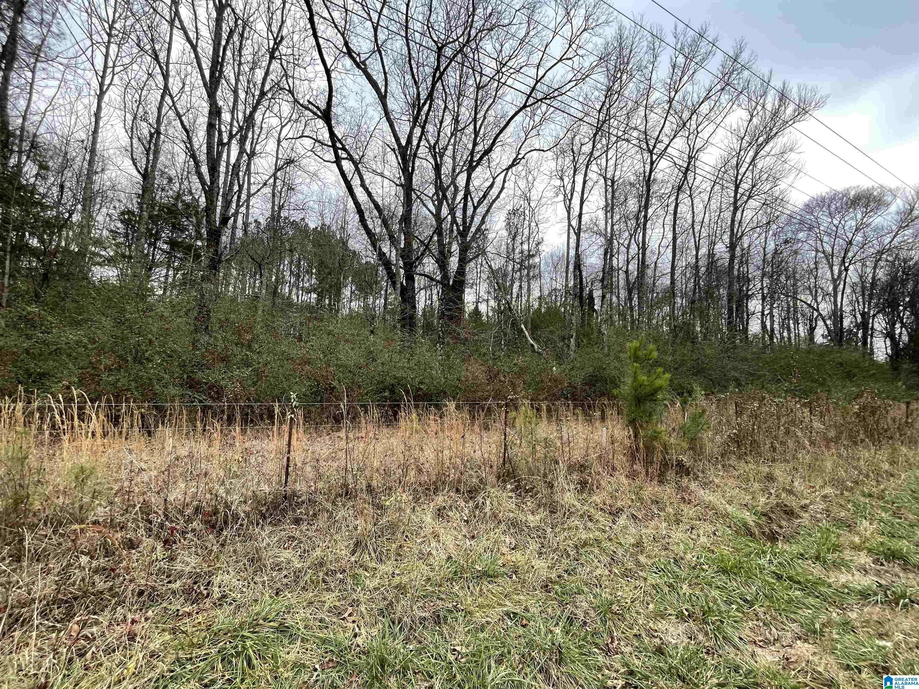 Cropwell, AL 35054,0 HIGHWAY 231 #0