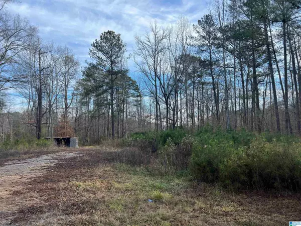 Clanton, AL 35046,5188 HIGHWAY 145 #1