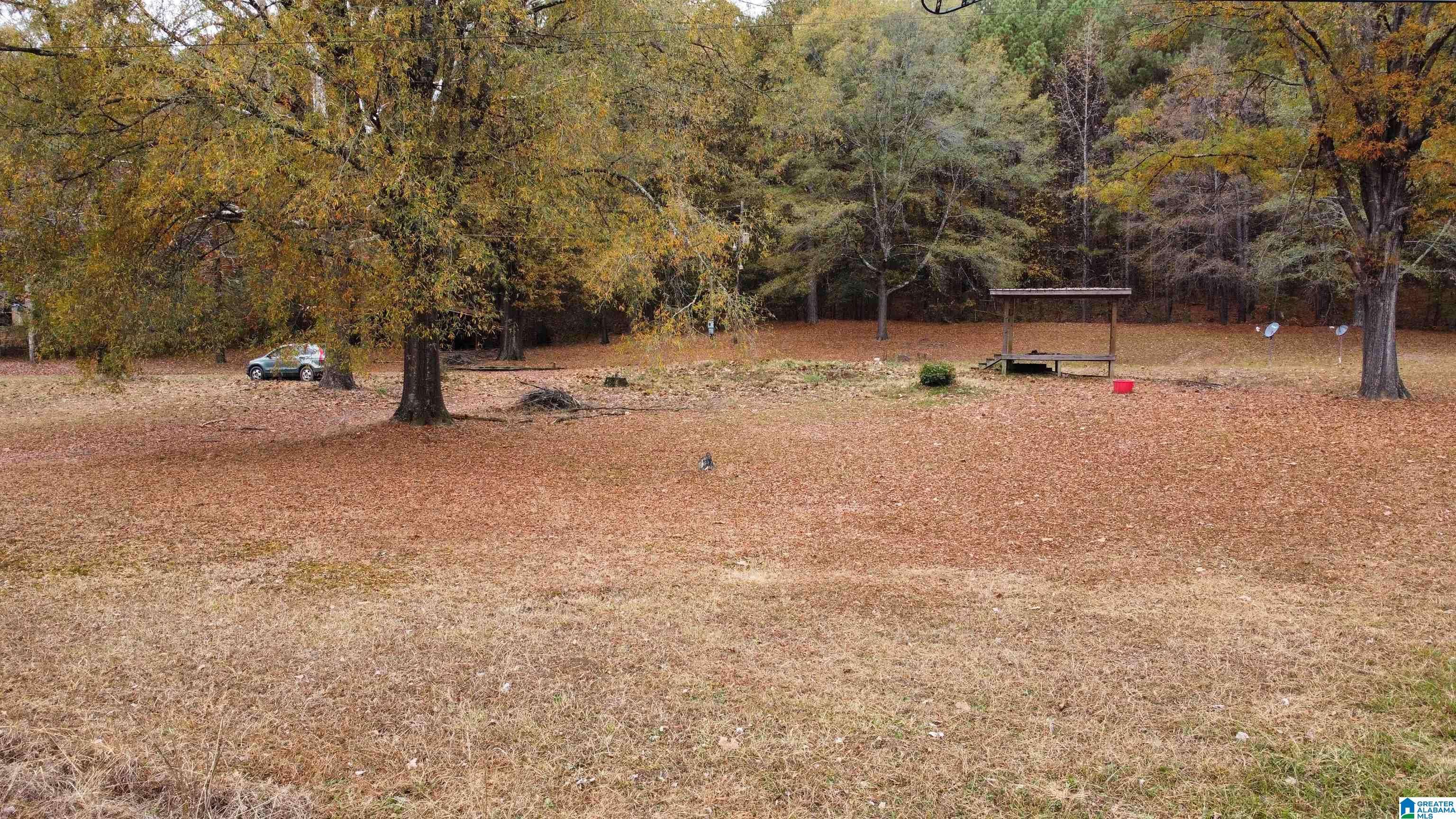 385 JACKSON STREET #385, Oakman, AL 35579