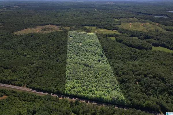 Rockford, AL 35136,00 HIGHWAY 231 #0