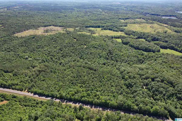 Rockford, AL 35136,00 HIGHWAY 231 #0