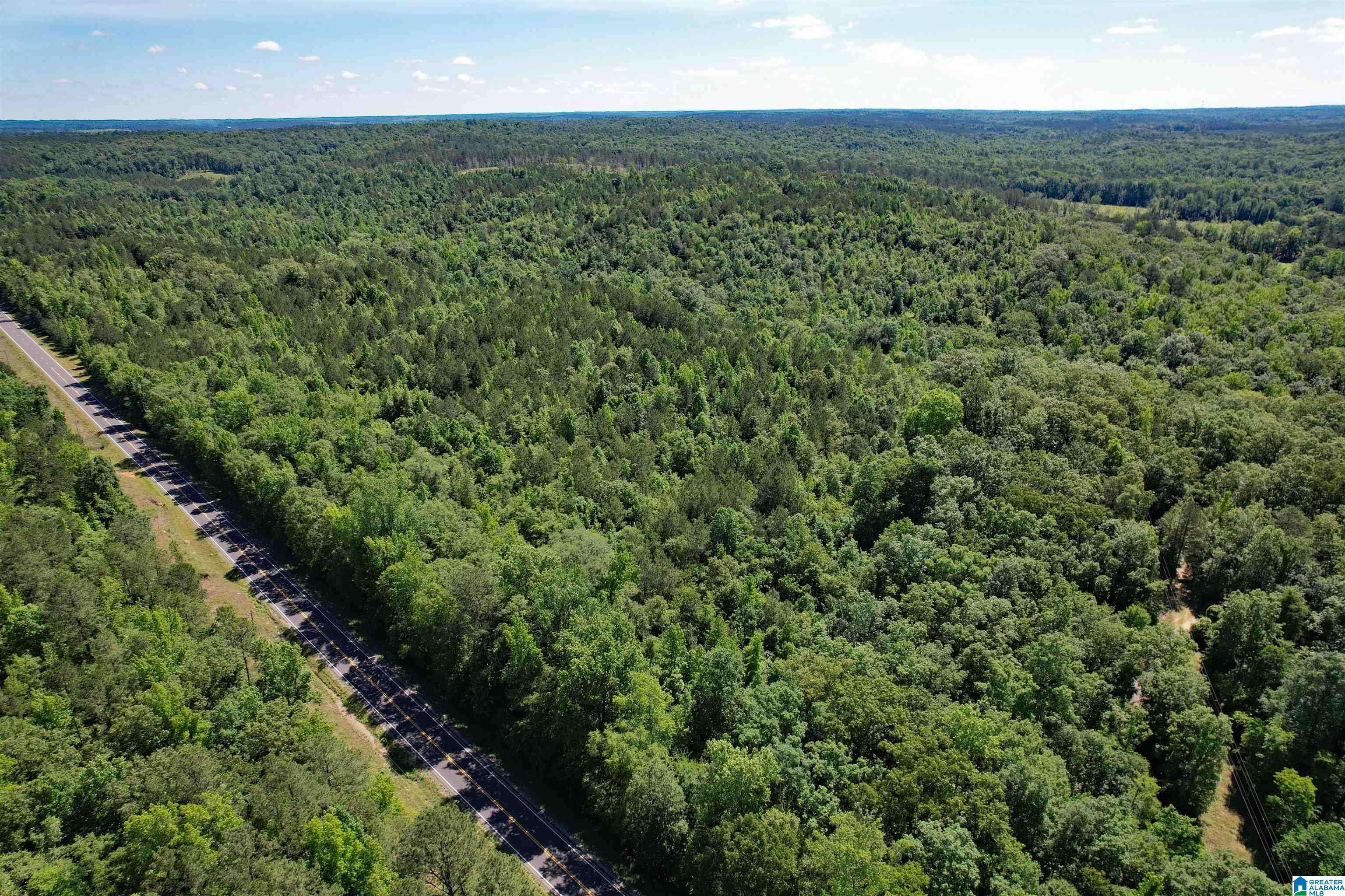 00 HIGHWAY 231 #0, Rockford, AL 35136