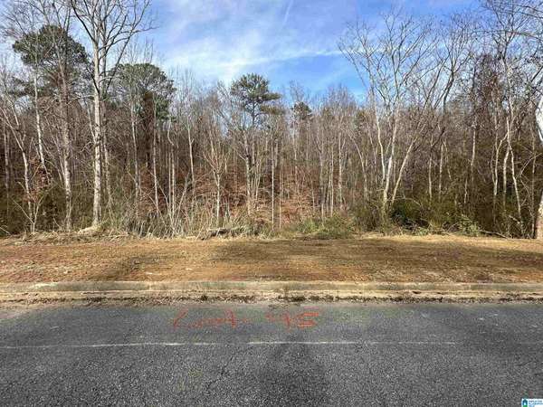 5100 JANET LANE #45,  Irondale,  AL 35210