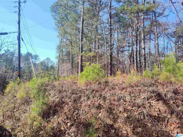 Sylacauga, AL 35151,0 VALLEY CREST ROAD #26 Hidden Valley Estates unit 5