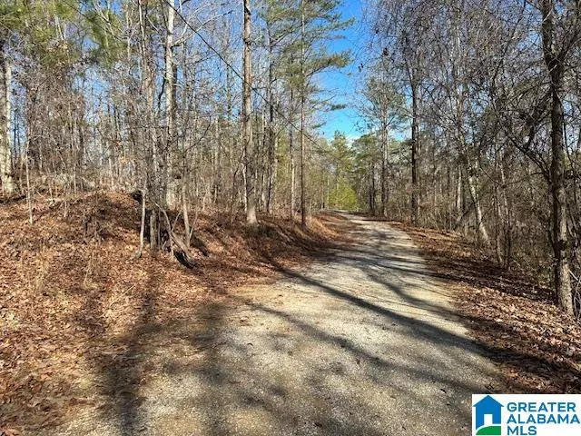 94 SETTLERS LANE #1, West Blocton, AL 35184