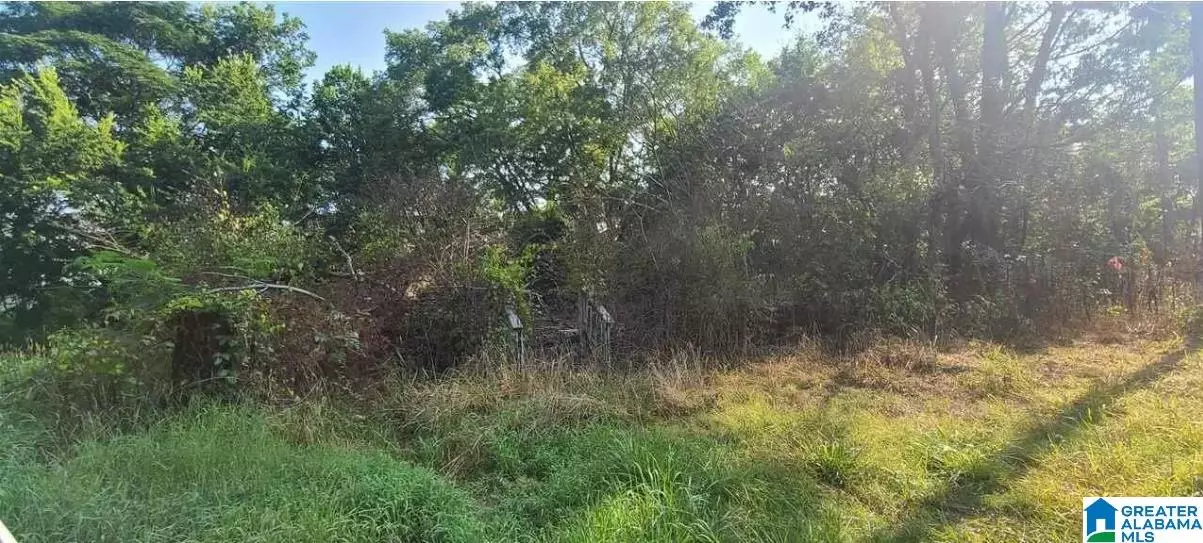 4630 PLYMOUTH AVENUE #9, Adamsville, AL 35005