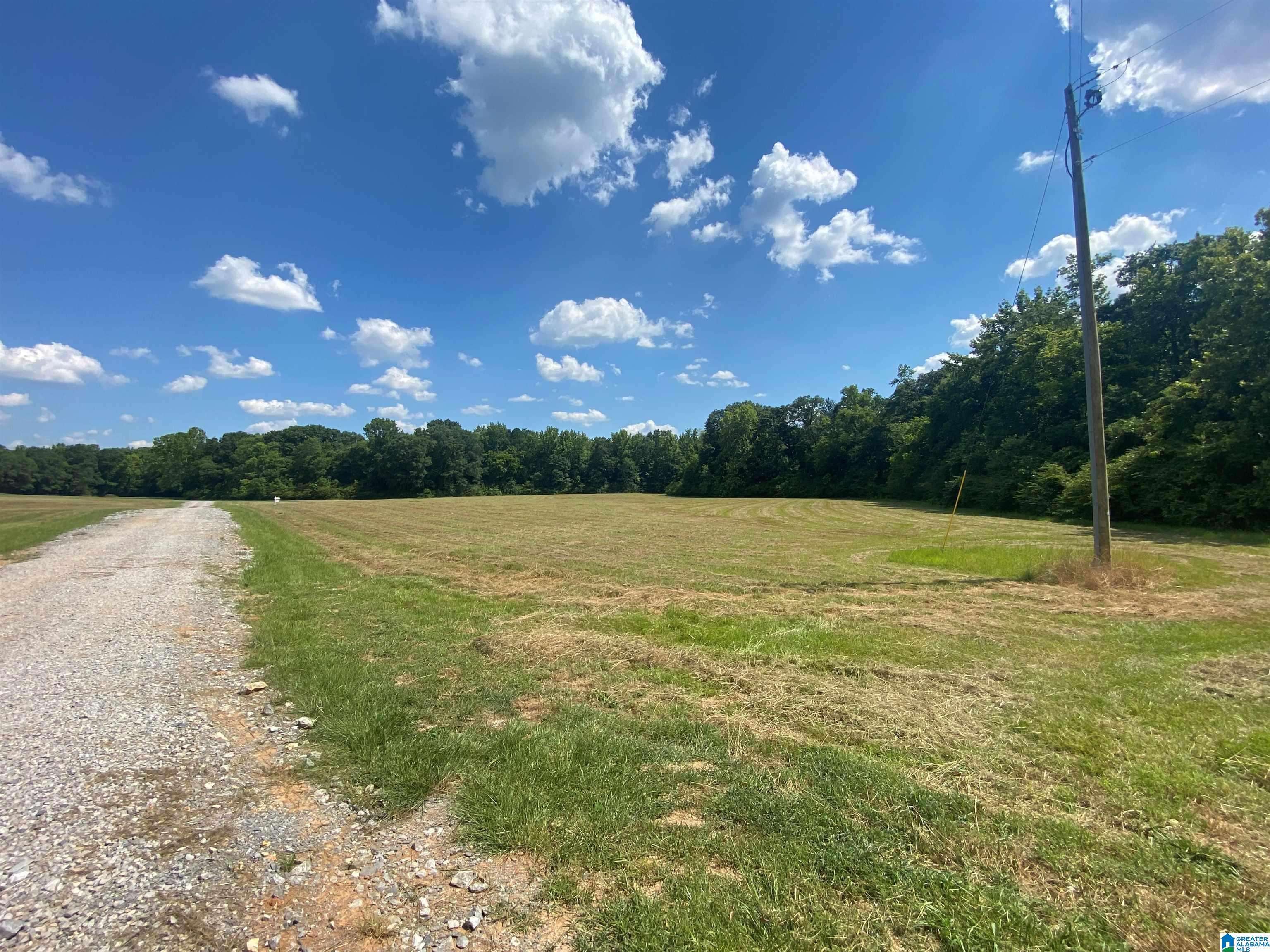 Montevallo, AL 35115,820 HIGHWAY 24 #Lot 3