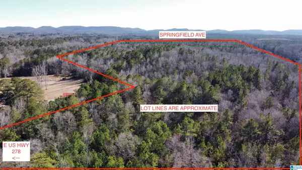 Glencoe, AL 35903,0 E HIGHWAY 278 #0