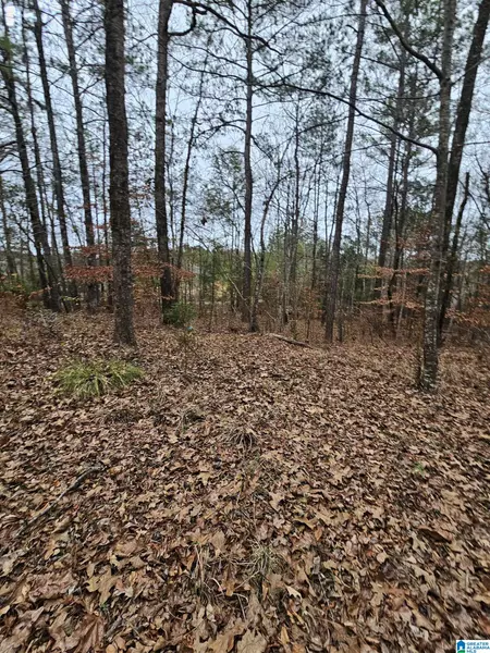 173 COUNTY ROAD 582 #1, Lawley, AL 36793
