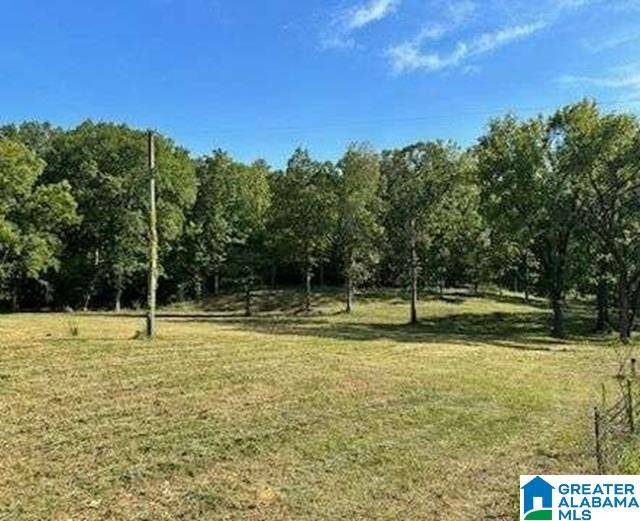 2450 SPRING CREEK ROAD #1, Montevallo, AL 35115