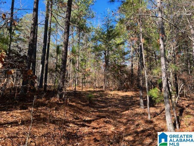 0 COLDWATER MTN #0, Oxford, AL 36203