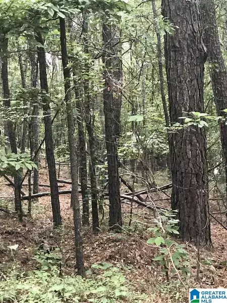 LAKESIDE LANE #22, Alpine, AL 35014