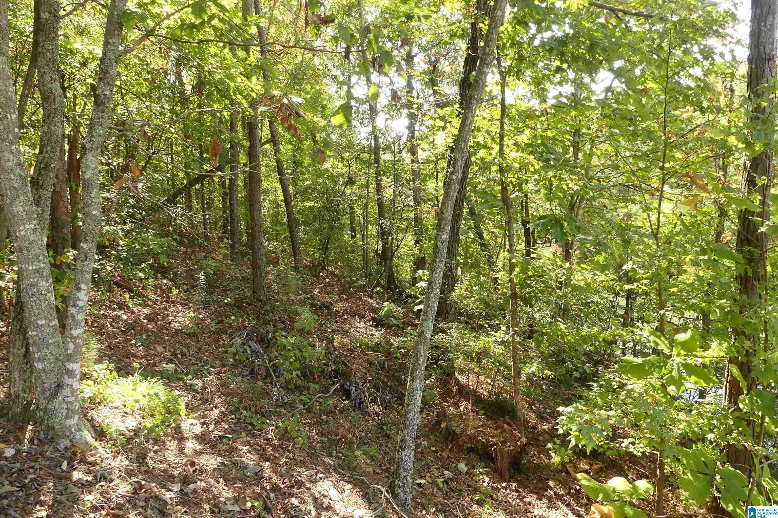 Wedowee, AL 36278,LOT 11 BROOKWATER POINTE #11