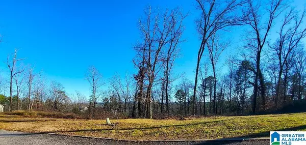 5009 ALTAMONT ROAD S #10, Birmingham, AL 35222