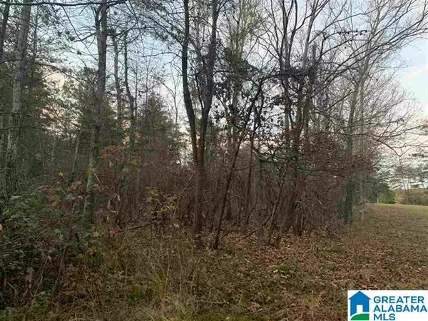 Cedar Bluff, AL 35959,285 COUNTY ROAD 109 #0