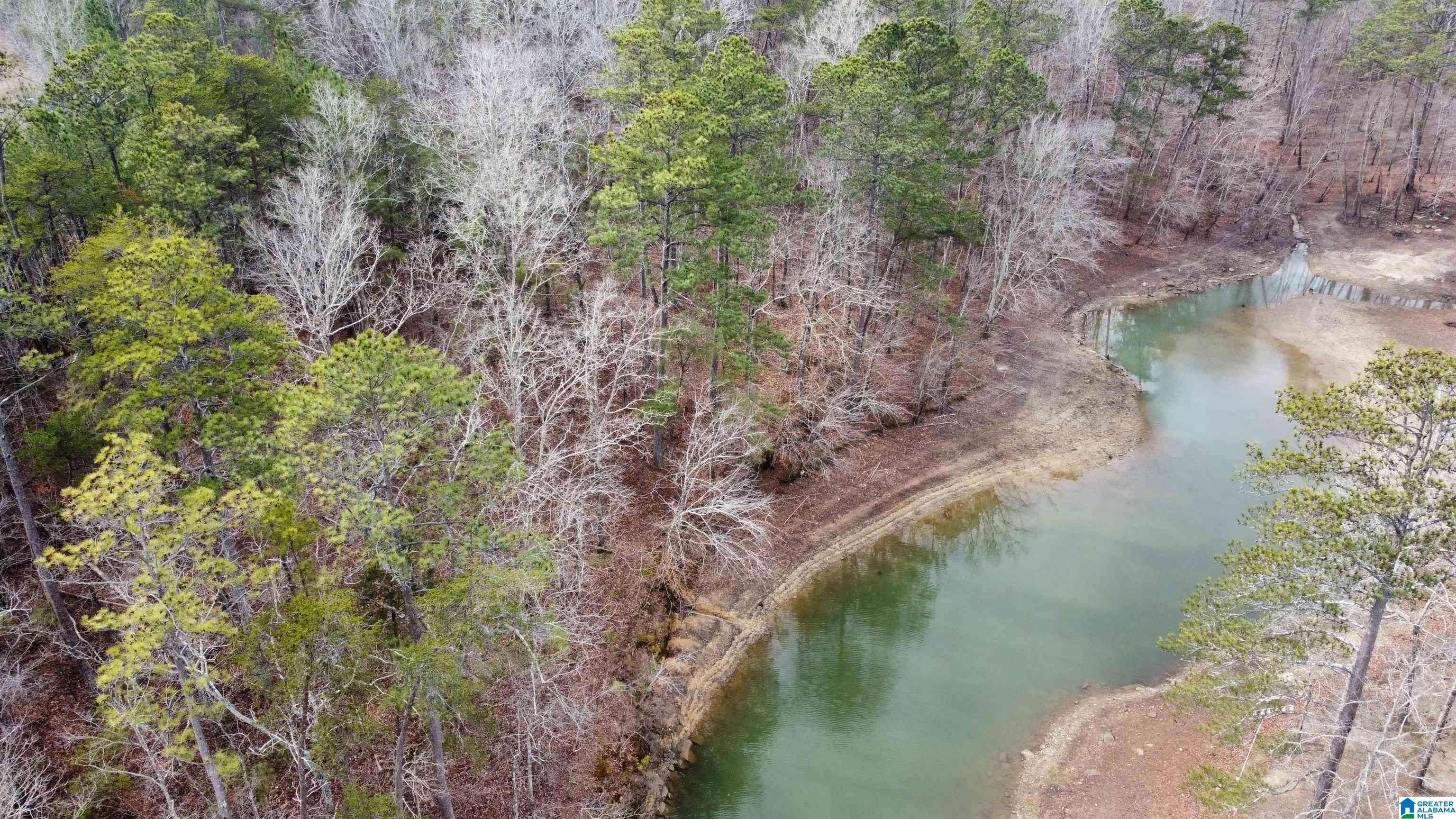 Double Springs, AL 35553,Lot 177 STONEY POINT LANDING #177