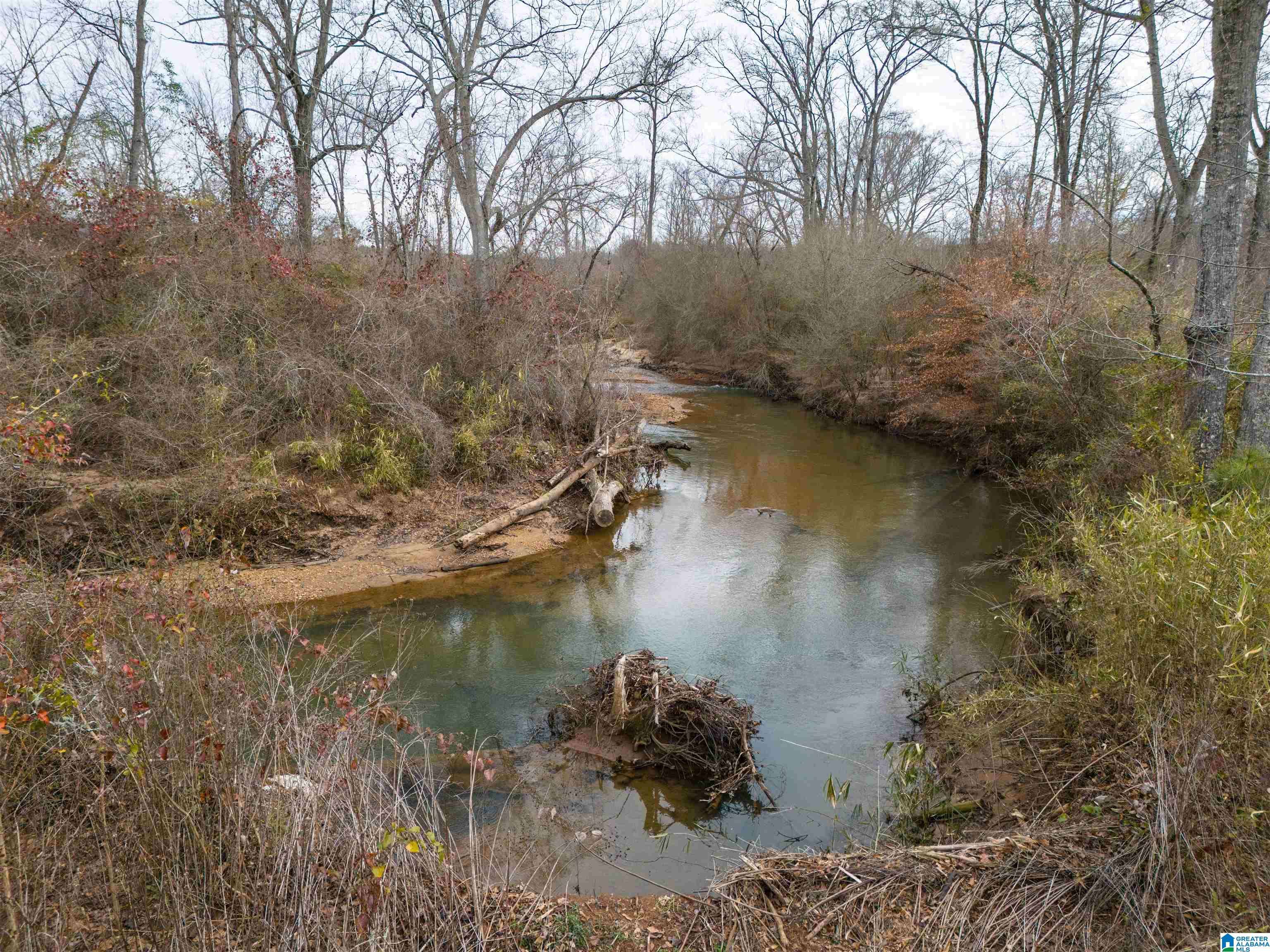 Wedowee, AL 36278,COUNTY ROAD 15 #157 Acres