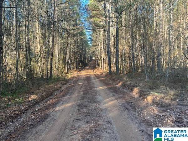 LAMBERT ROAD #56 Ac, Cragford, AL 36255