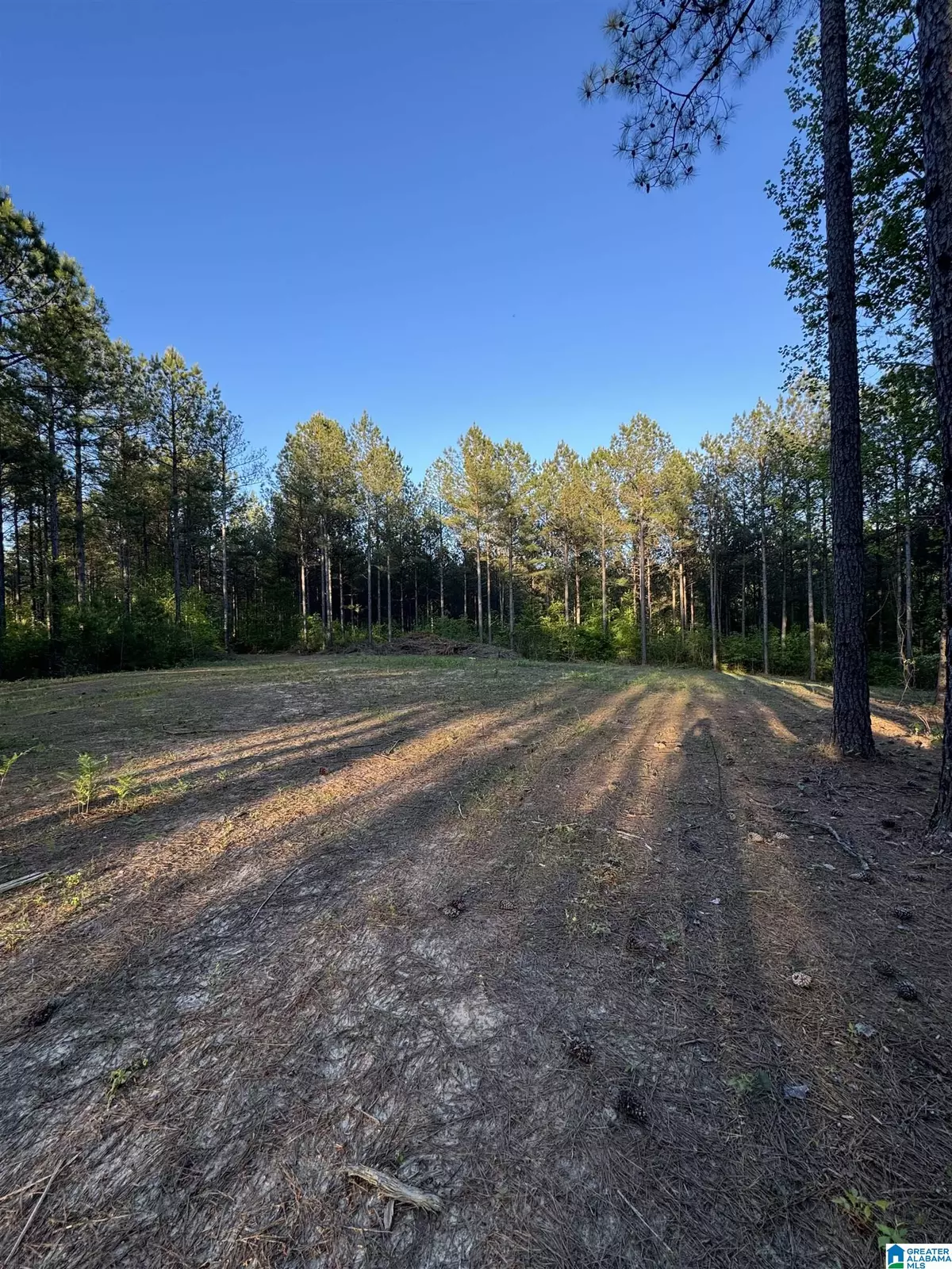 Westover, AL 35147,218 FOXTAIL PATH #11-F