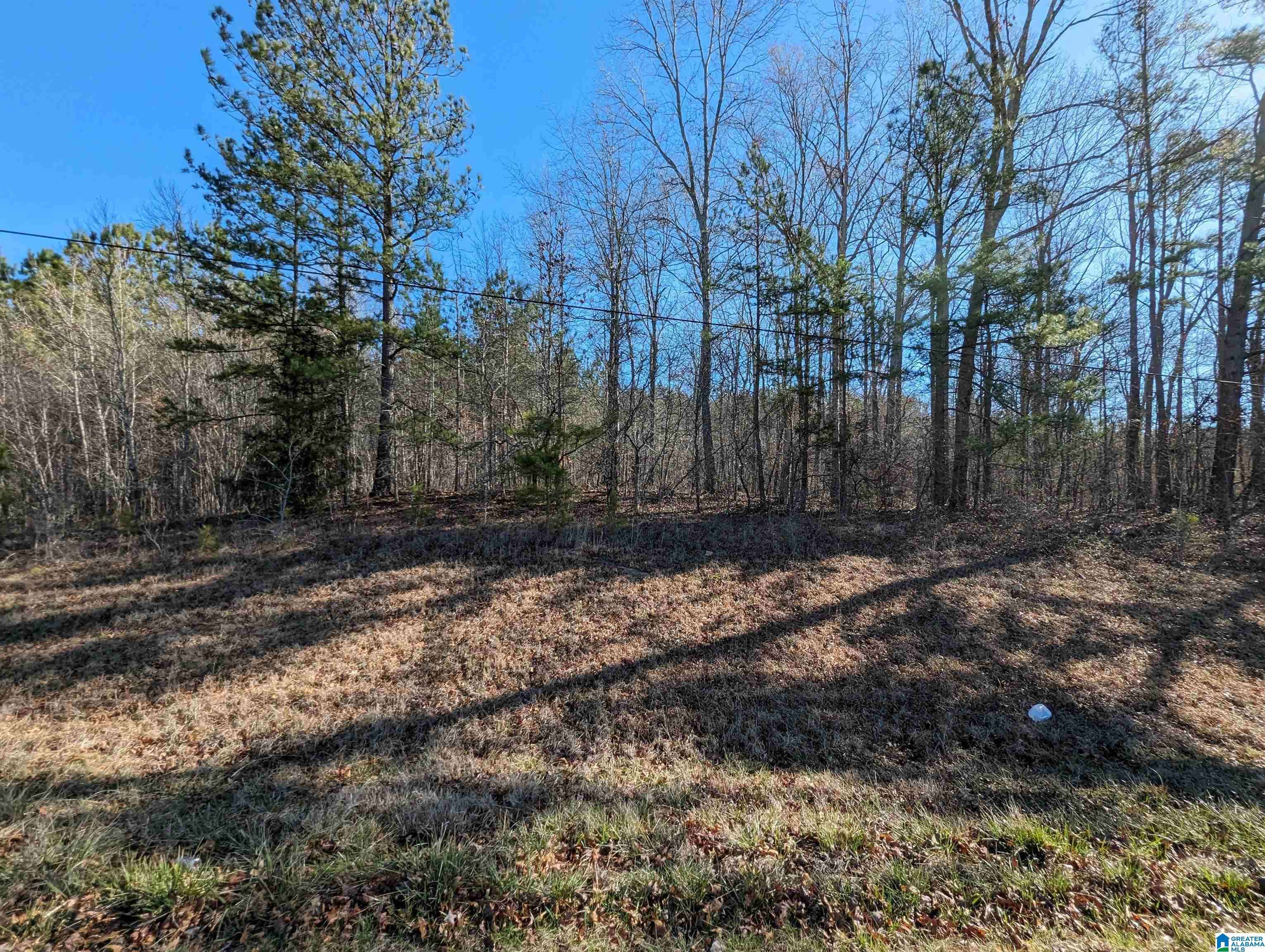 0 (5.7 Acres) HIGHWAY 77, Talladega, AL 35160