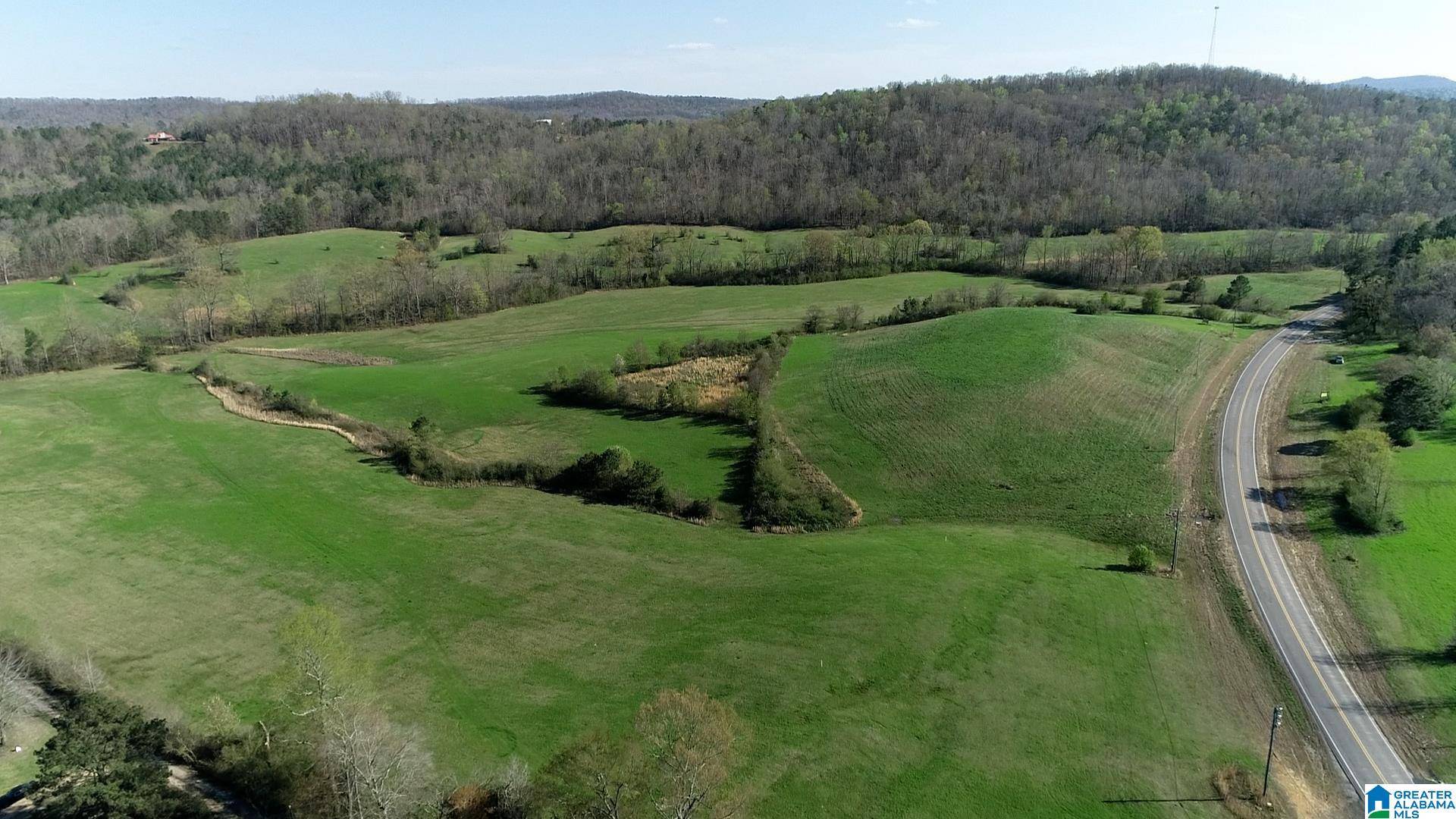 Springville, AL 35146,6555 HIGHWAY 174 #Tract 6