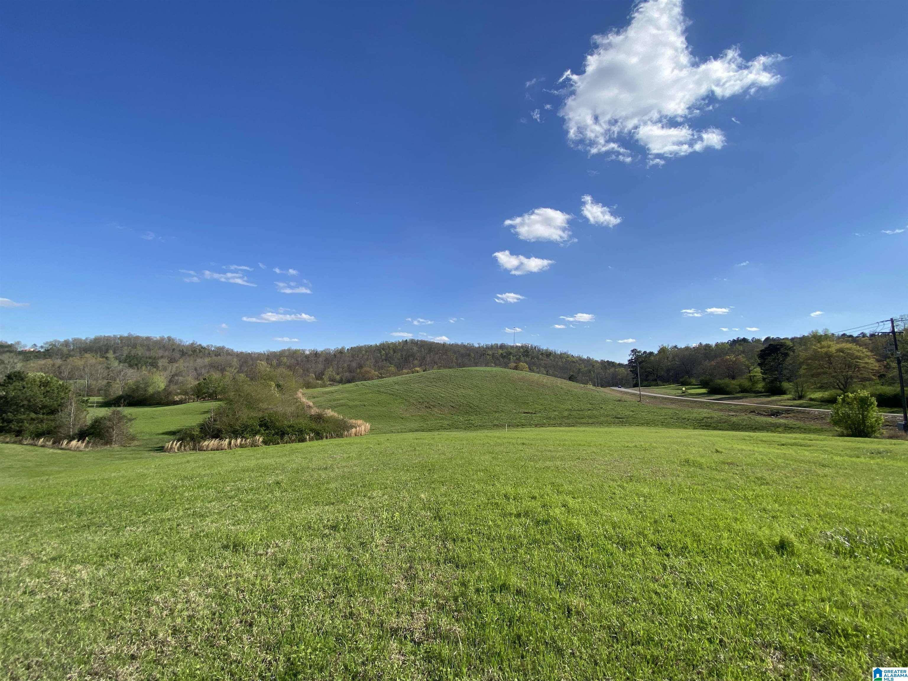 Springville, AL 35146,6555 HIGHWAY 174 #Tract 6