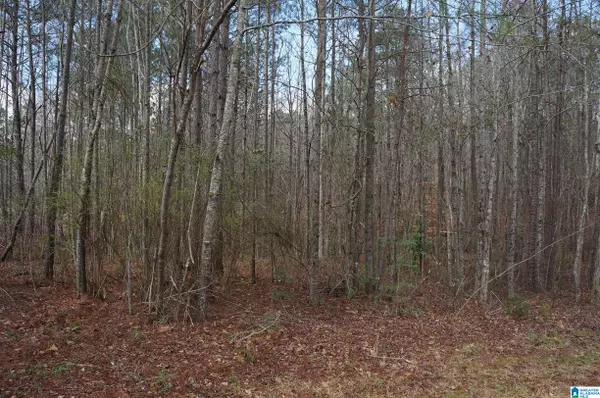 Sylacauga, AL 35151,00 PEBBLE POINT #6