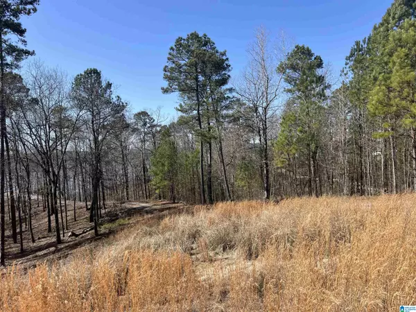 SHORESIDE LANE #133, Sylacauga, AL 35151