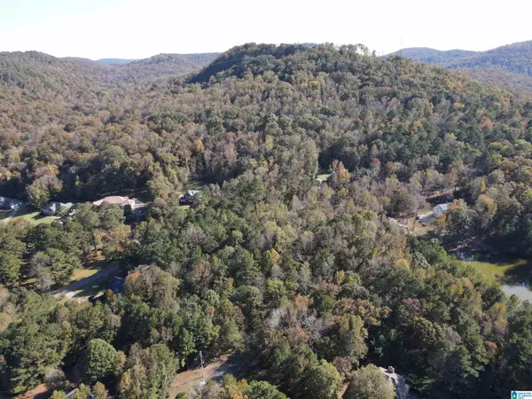 Pinson, AL 35126,8201 EMERALD LANE #2