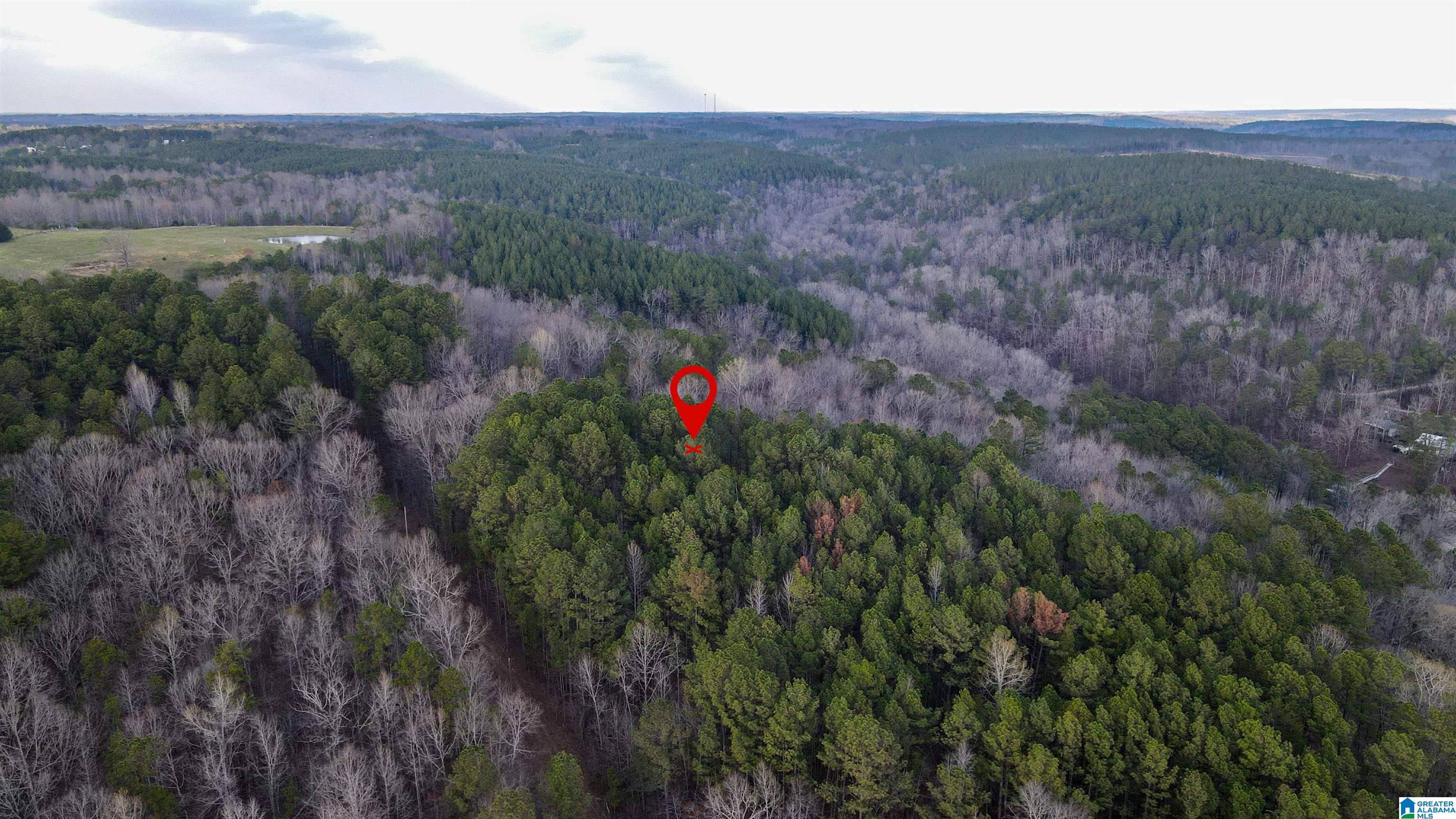Crane Hill, AL 35053,0 CROOKED CREEK ROAD #0