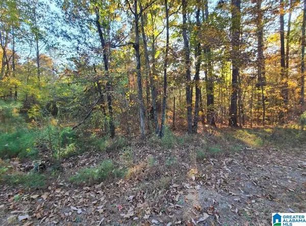 0 KENNEDY DRIVE #Lot #13, Oneonta, AL 35121