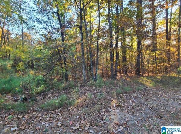 0 KENNEDY DRIVE #Lot #13, Oneonta, AL 35121