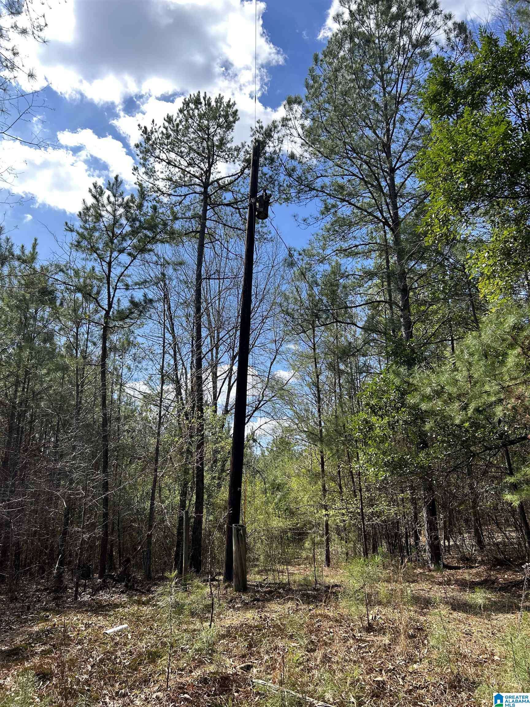 Mccalla, AL 35111,7510 SPRINGER ROAD #1