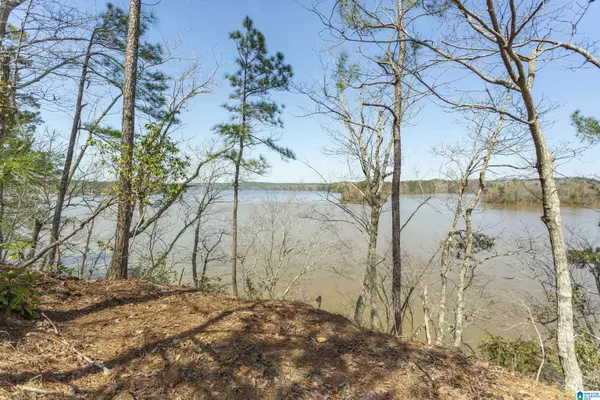 Rockford, AL 35136,87 WATER SPRING COURT #1