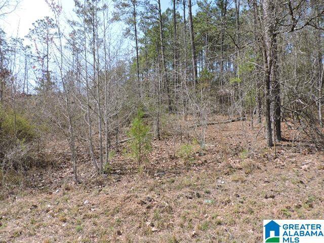 Wedowee, AL 36278,COUNTY ROAD 329 #0