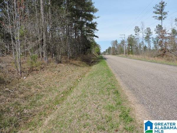 COUNTY ROAD 329 #0, Wedowee, AL 36278