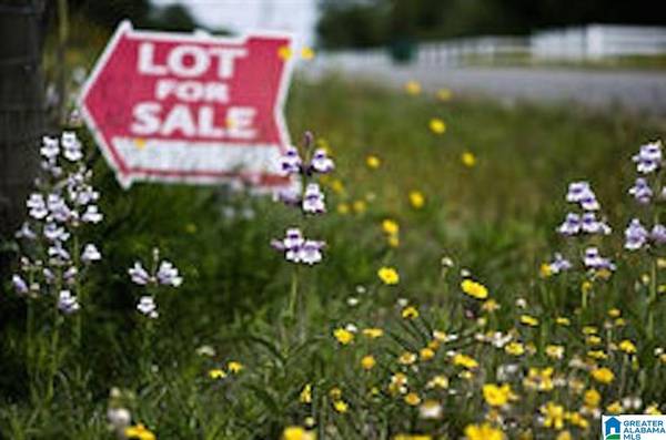 WESTRIDGE DRIVE #1, Trafford, AL 35172