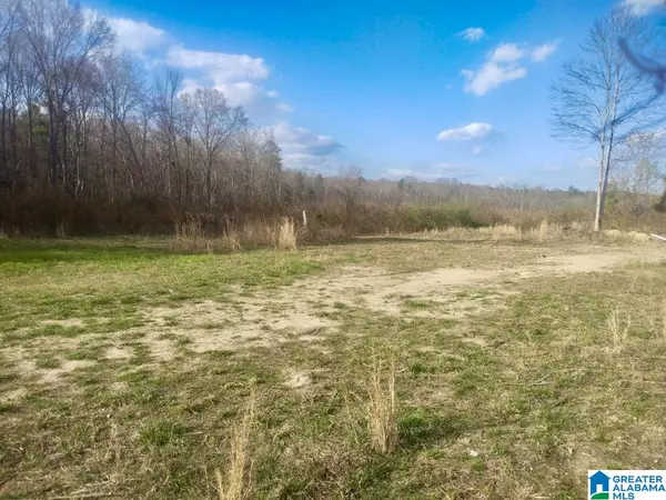 Flat Rock, AL 35966,0 COUNTY ROAD 14 #0