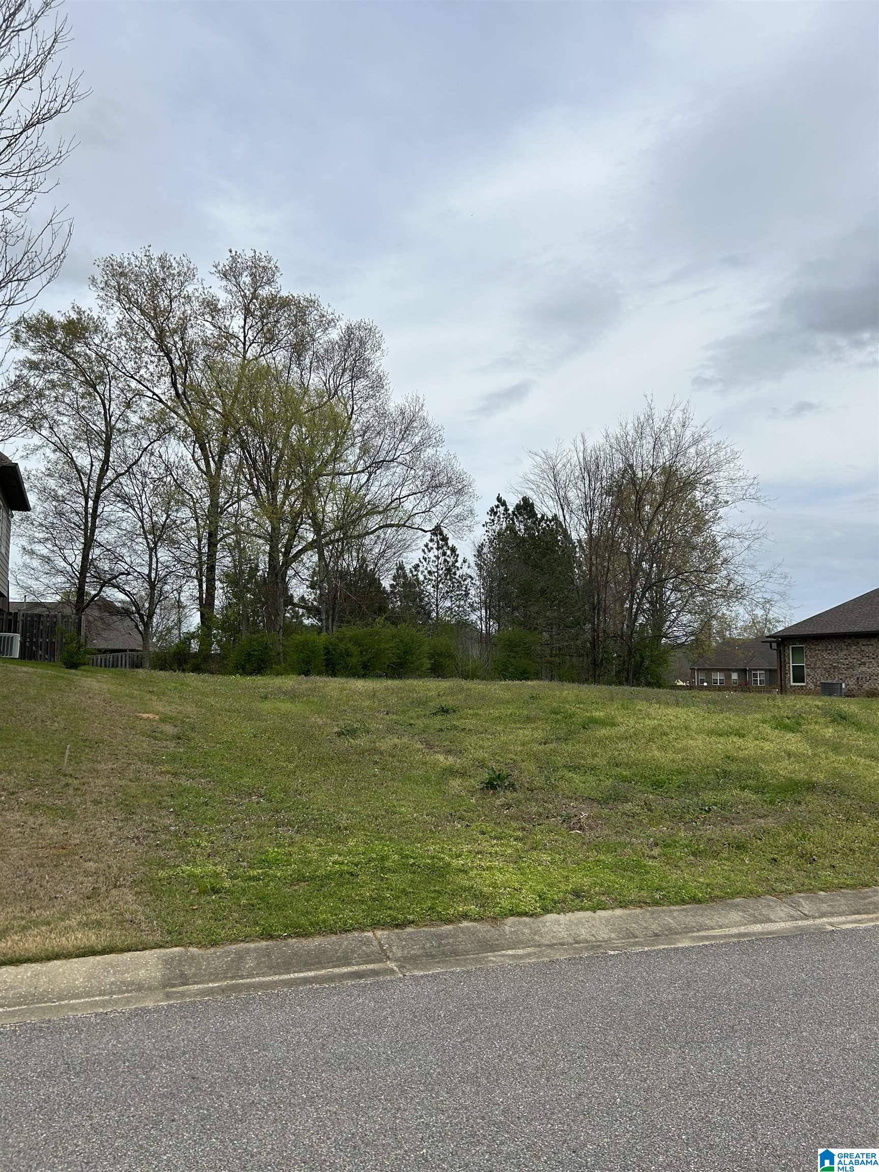 Montevallo, AL 35115,117 PATRIOT PARK #1