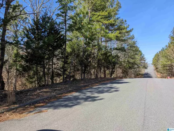 Anniston, AL 36206,0 (Lot 241) WINFREY LANE #241