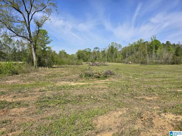 Maplesville, AL 36750,0 HIGHWAY 82 #none