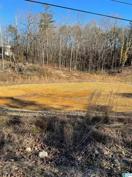0 W 49TH STREET #17, Anniston, AL 36206