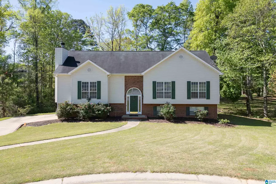 319 HUNTER HILLS CIRCLE, Chelsea, AL 35043