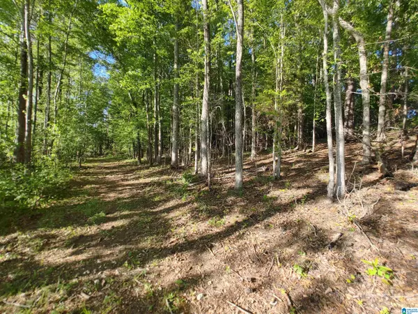 00 COVE ROAD #28, Sylacauga, AL 35150