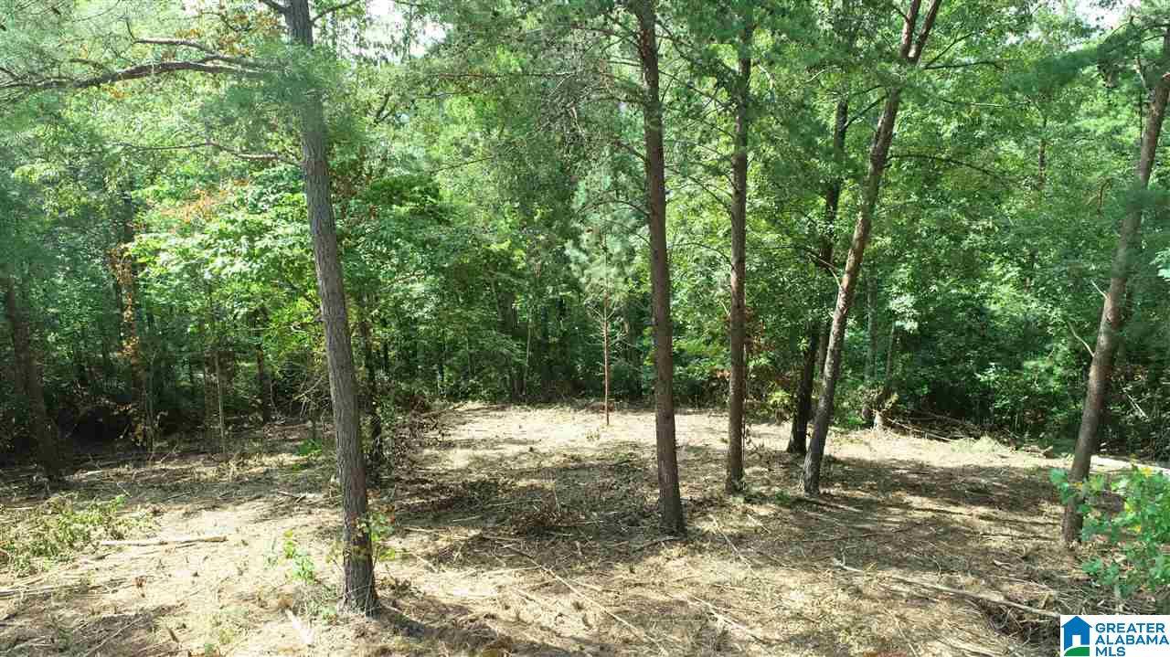 Wedowee, AL 36278,0 EVERGREEN CREST #12