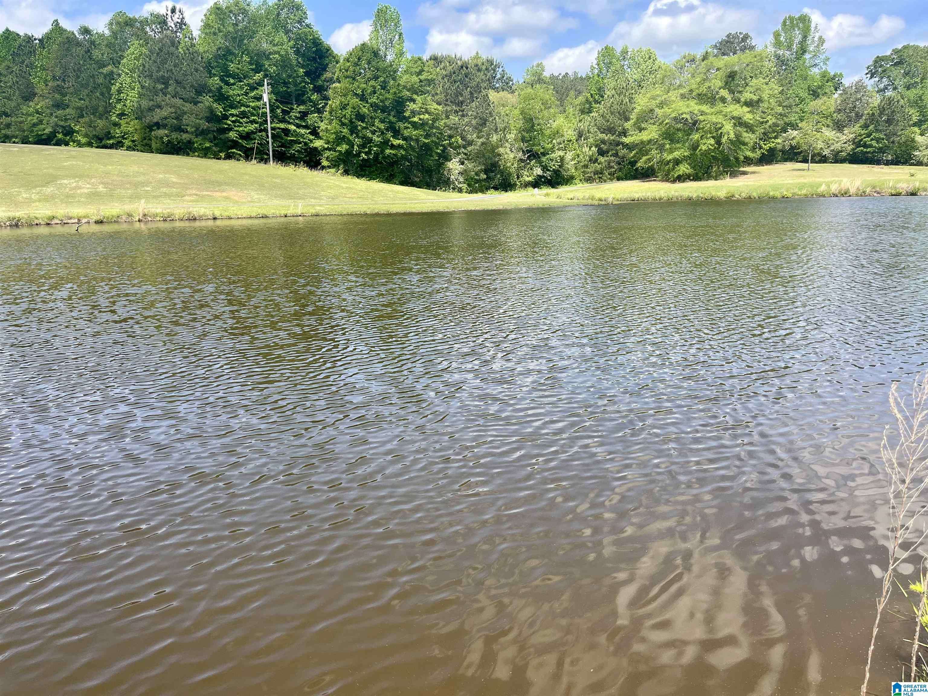 Lot 7 MARY DRIVE #7, Roanoke, AL 36274
