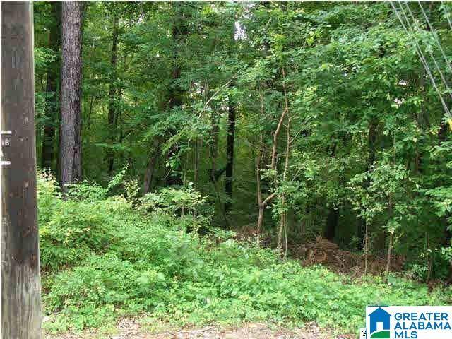 3646 VEONA DANIELS ROAD #57, Hoover, AL 35216