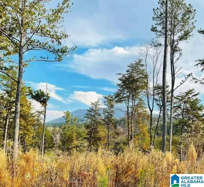 0 COUNTY ROAD 55 #0, Piedmont, AL 36272