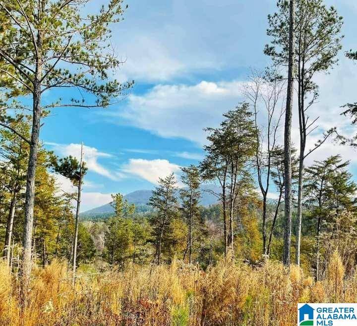 0 COUNTY ROAD 55 #0, Piedmont, AL 36272