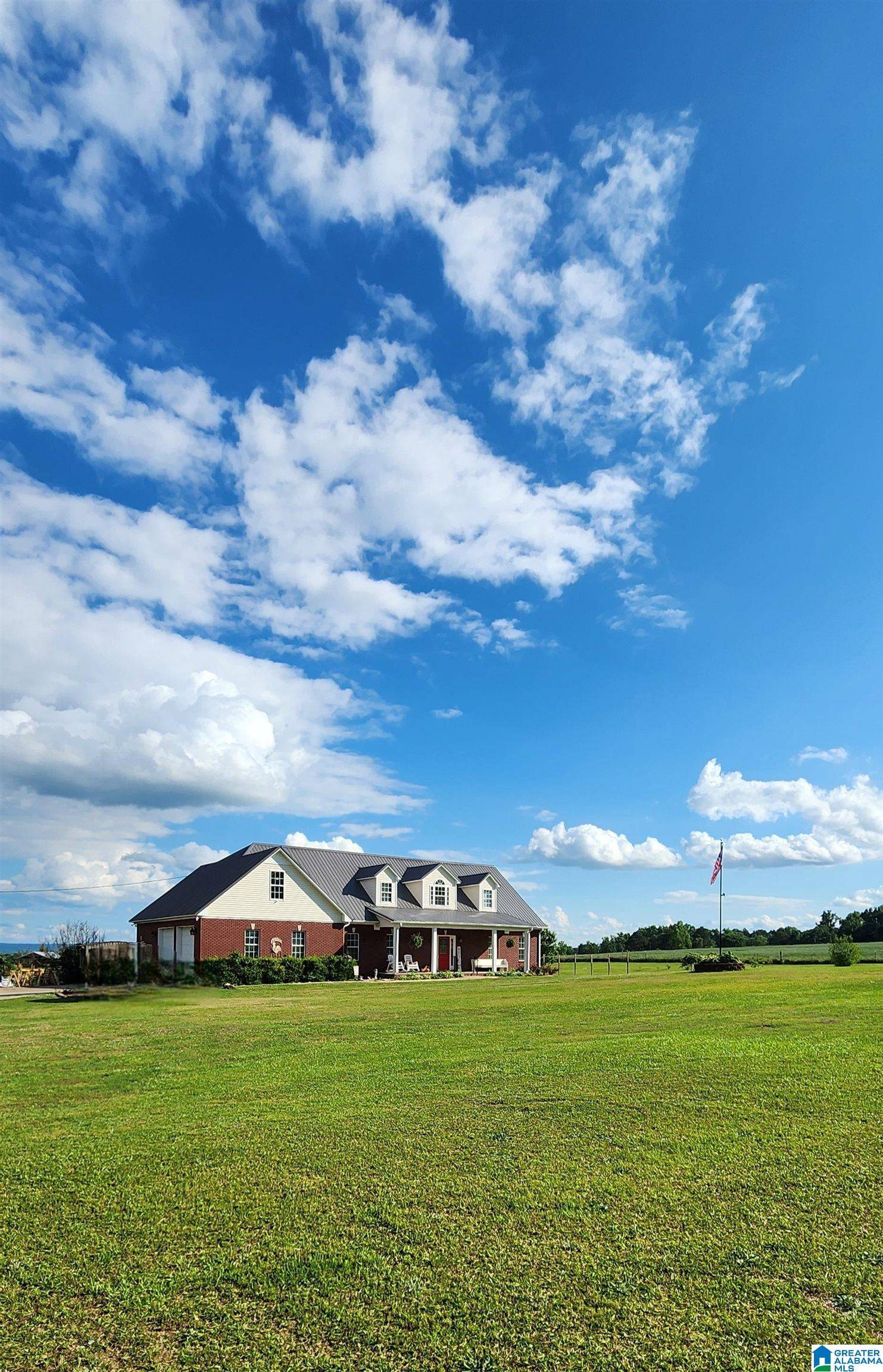 786 NEW PROSPECT CHURCH ROAD, Horton, AL 35980